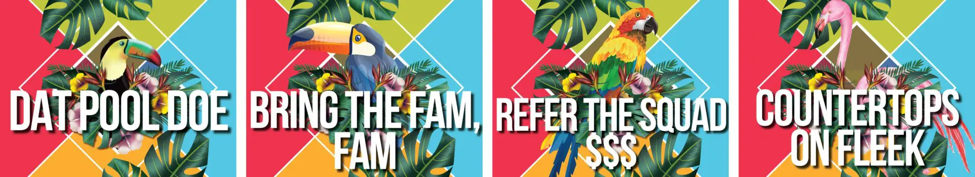 Colorful parrots with promotional text overlay.