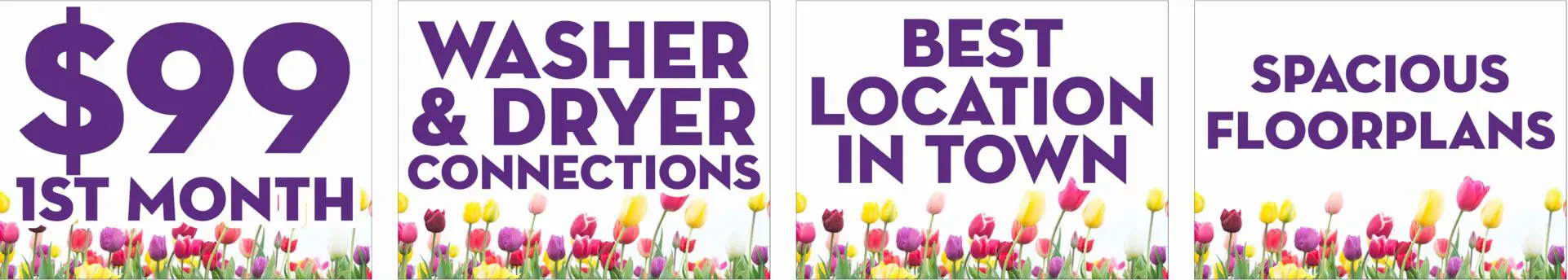 Apartment advertisement with flowers and promotional offers.