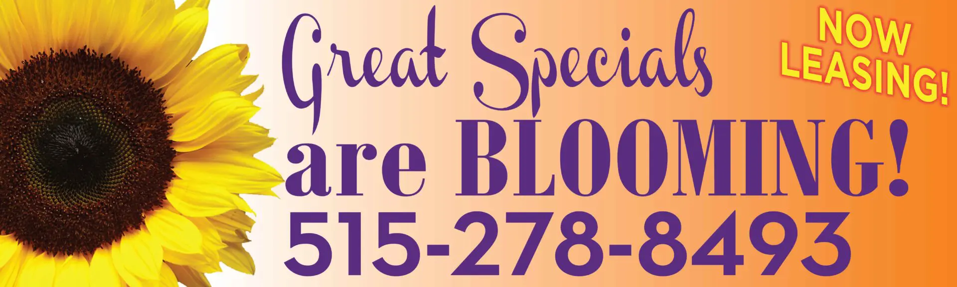 Sunflower with leasing specials and phone number.
